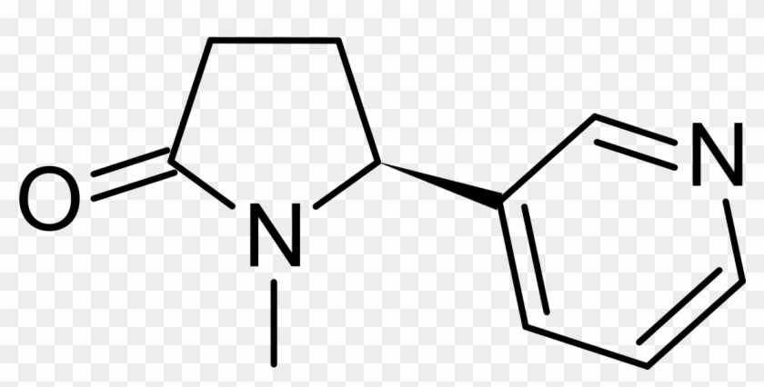 Chemical Structure Of Succinimide #1469648