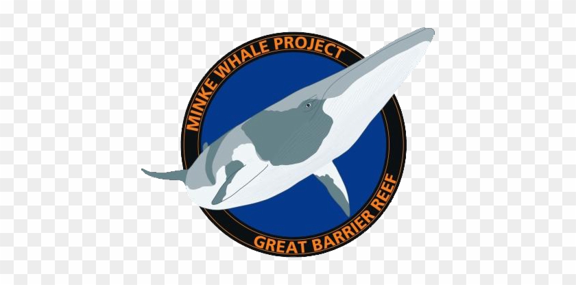 Minke Whale Project - Minke Whale #1470001