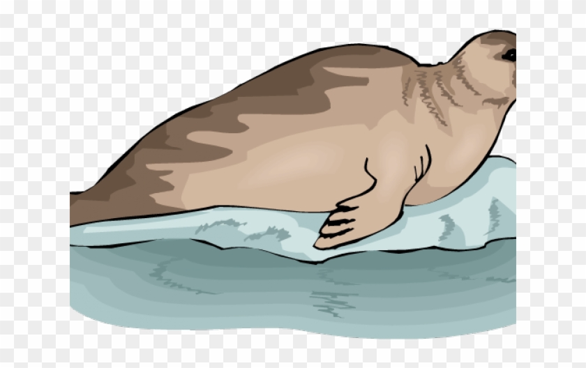 Marine Life Clipart Sea Lion - Тюлень Клипарт #1470023