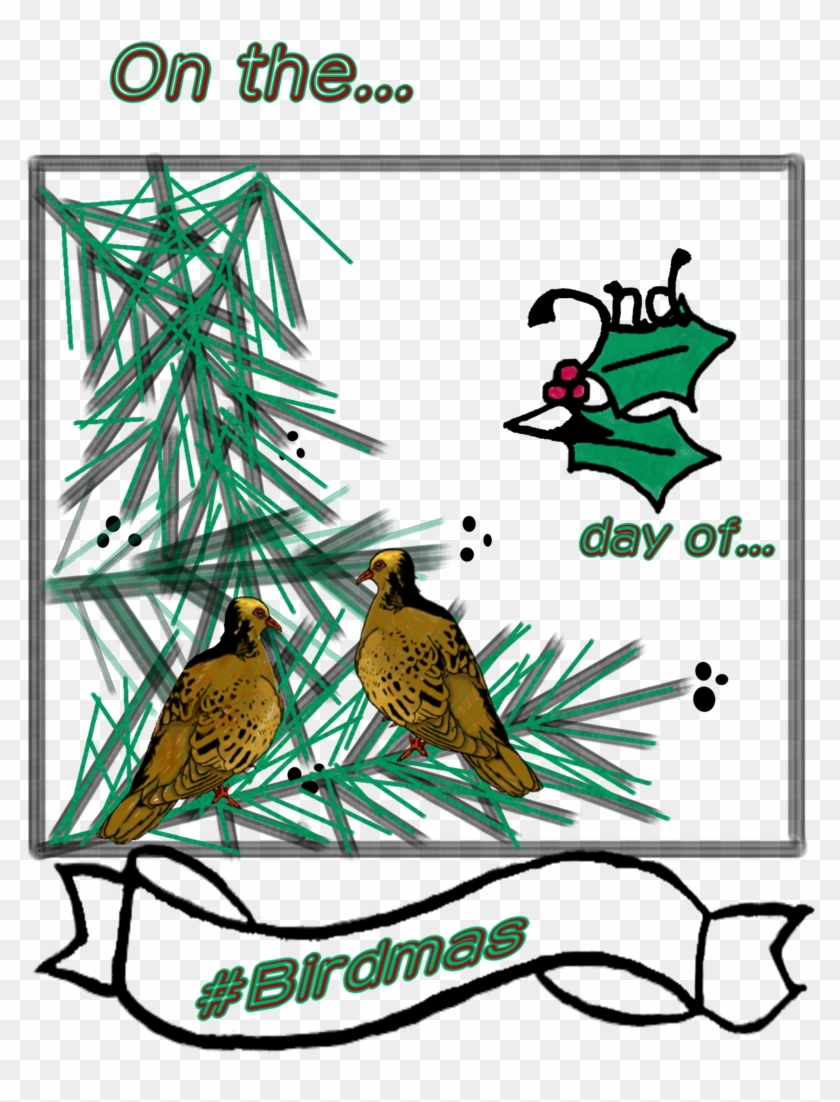 #birdmas #2turtledoves & Partridge In A Pear Tree - Illustration #1470231