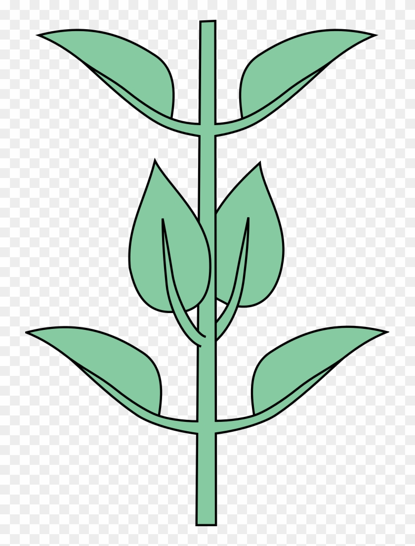 Get Free High Quality Hd Wallpapers Opposites Wiki - Opposite Decussate #1470384