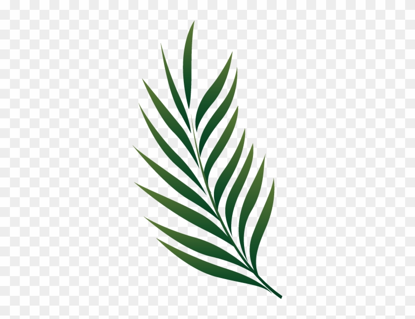 Palm Branch Image Free Cliparts That You Can Download - Tropical Leaves Illustration Png #1470477