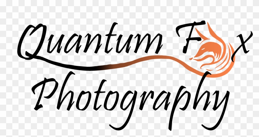 Quantum Fox Photography - Photography Dm Logo Design #1470564