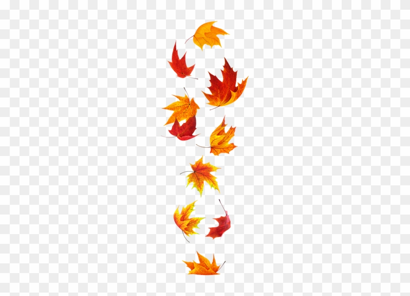 Clip Art Fall Stock Photos - Falling Maple Leaf Tattoo #1470624