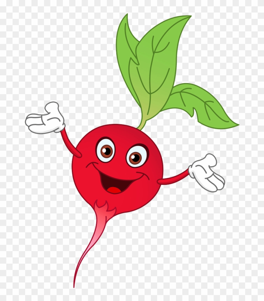 Cartoon Radish #1471221