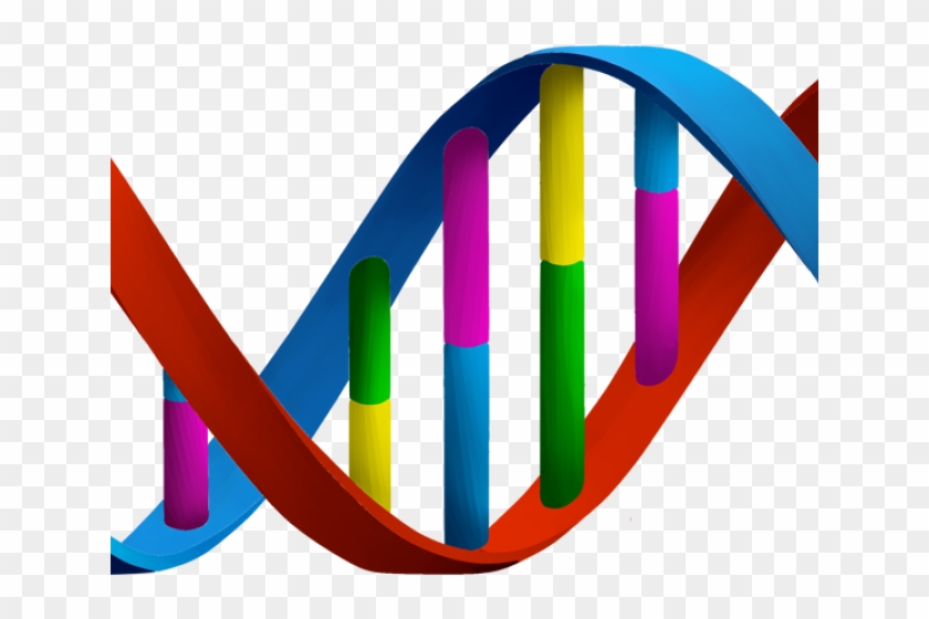 Overview Clipart Manual Process - Genetics Clipart Transparent #1471315