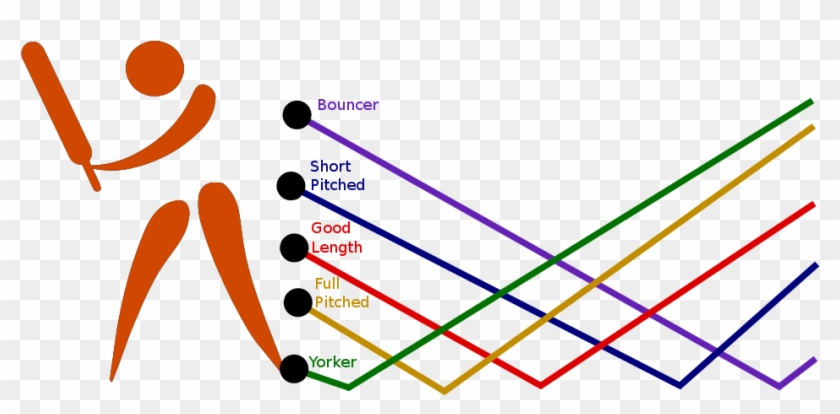 Cricket Lengths - Cricket Batting Shots Tips #1471756