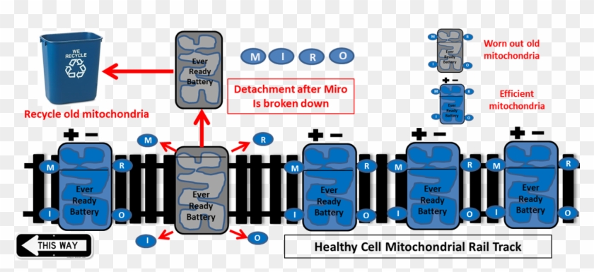 Two Genes Linked To Inherited Forms Of Parkinson's, - Emedco Rubbermaid? Commercial Deskside Recycling Container #1471857