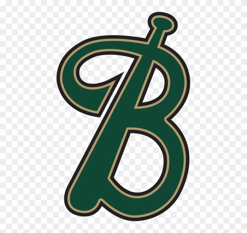 Birdville Baseball Logo - Birdville Hawks Baseball #1471876