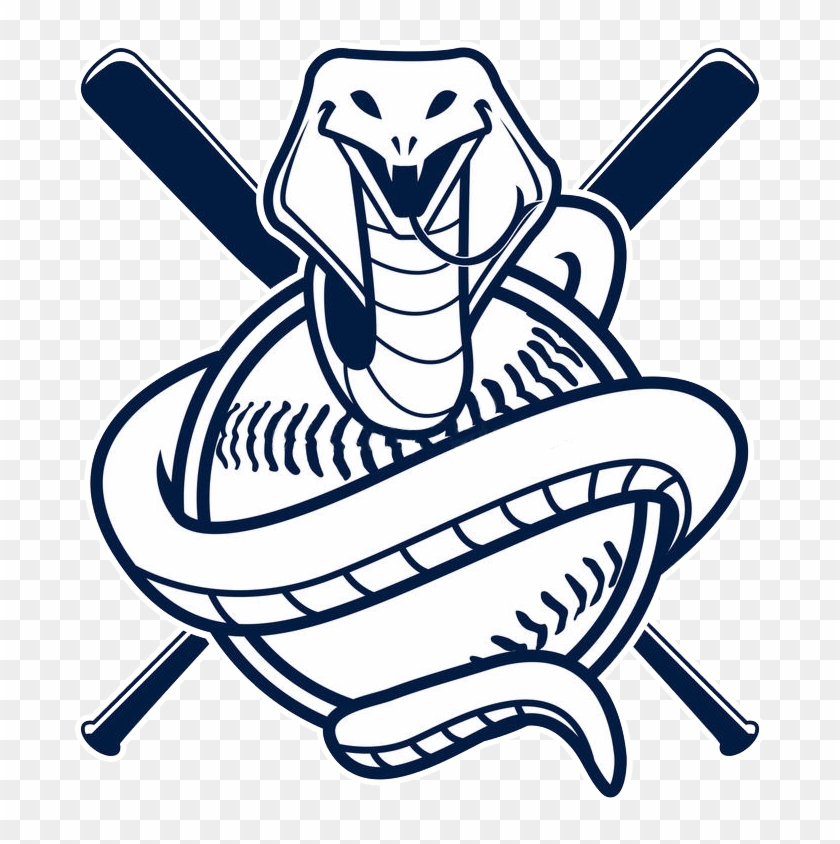 Cobra Vector Baseball #1471892