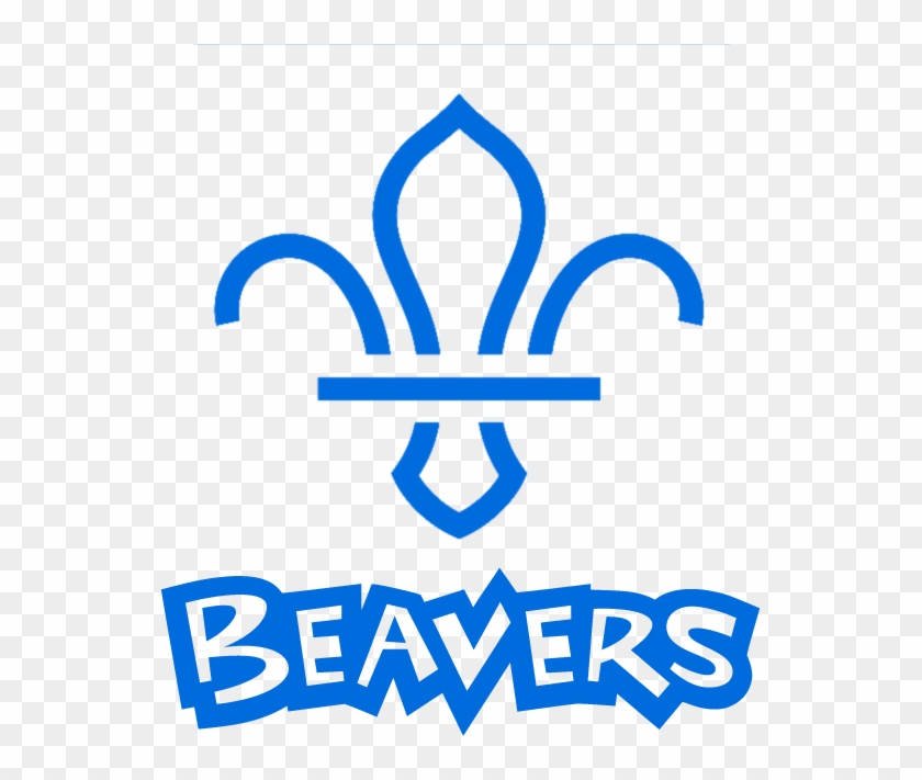 Everybody Aged 5¾-8 - Beavers Scouts Uk #1471963