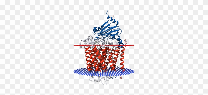 Catalytic Core Subunits Of Cytochrome C Oxidase From - Graphic Design #1472156