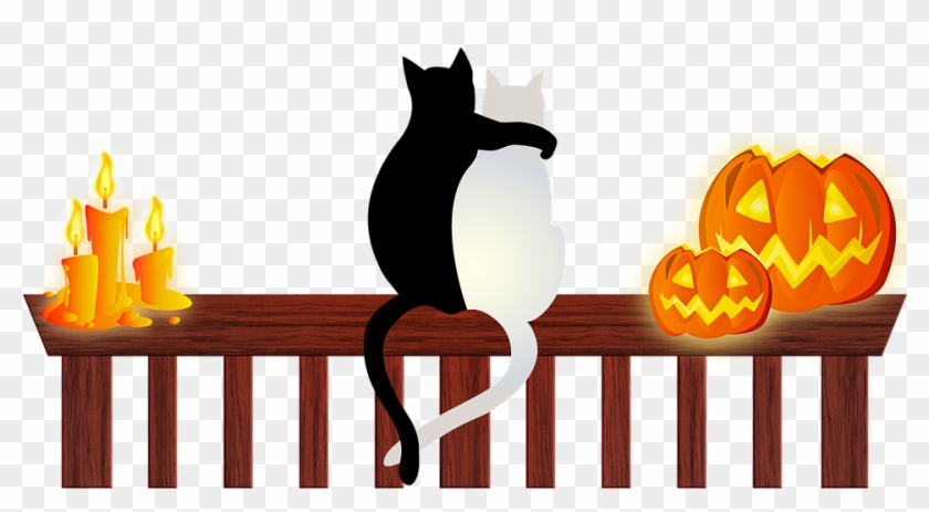 Keep Your Cat Safe This Halloween - Halloween Cats #1472529