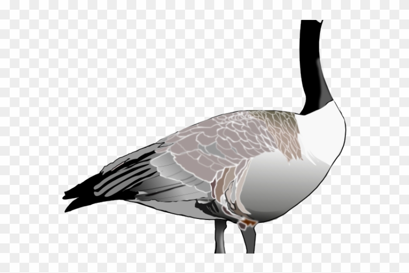 Geese Migration Clipart Picsart - Canada Goose Png Clip Art #1472565