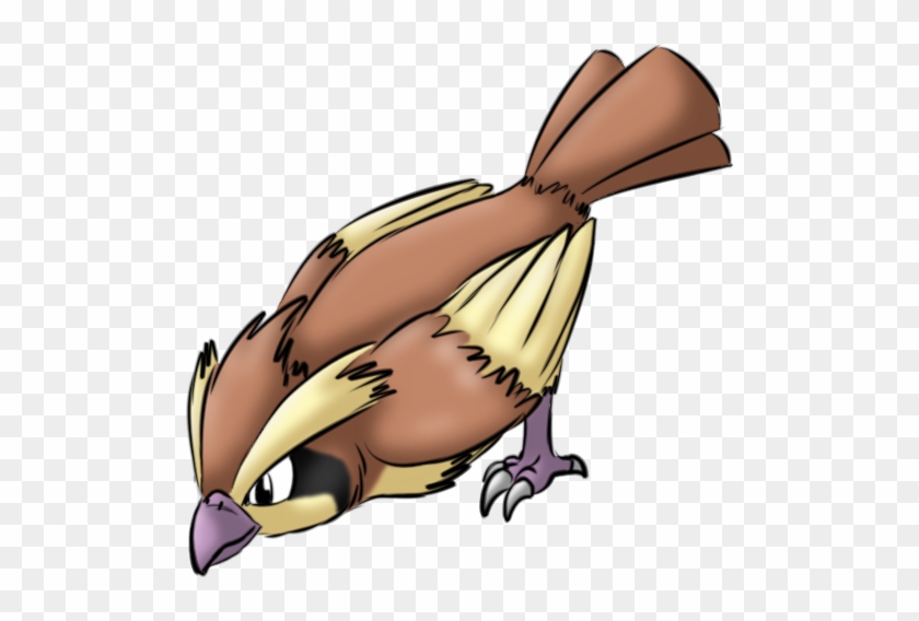 Isis Pidgey Trying To Nip At The Spray Bottle - Pokemon Pidgey Png #1472914