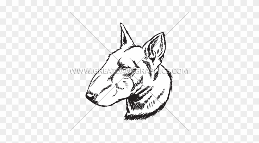 Bull Terrier - Old English Terrier #1472995