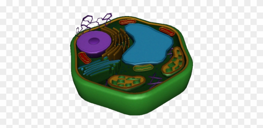 Plant Cell - Cell #1473197