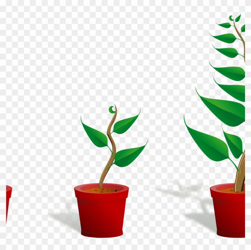 Flower Plant Growing Pxpng Cartoon Flowers - Getting To Know Plants #1473228