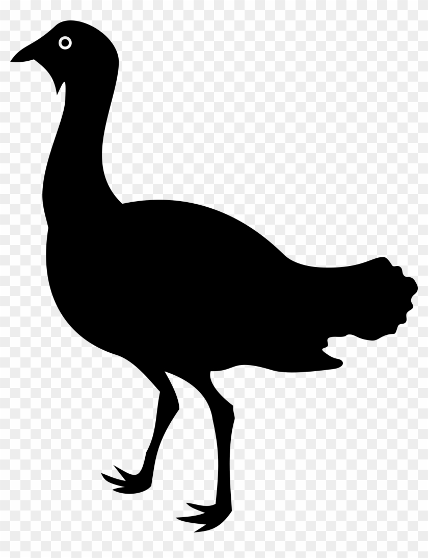 Emu Silhouette At Getdrawings - Bustard Silhouette #1473341