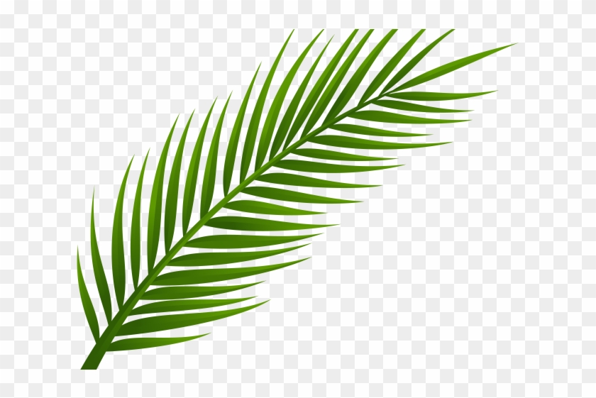 Web Clipart Line Art - Palm Leaf Png Free #1474041