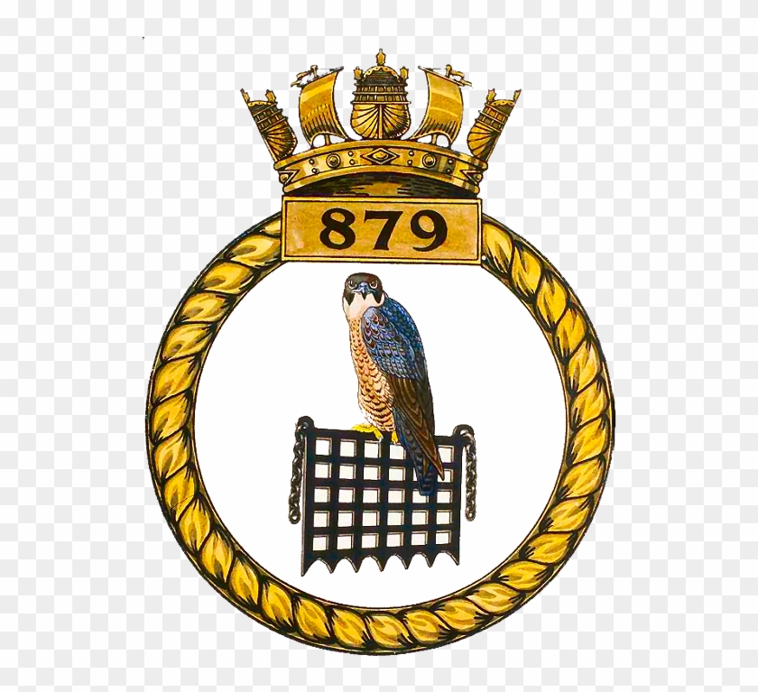 879 Nas Navy Badges, Naval History, Royal Navy, Coat - Dayanand Public School Bikaner #1474059