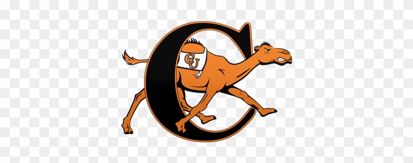 Campbell Fighting Camels And Lady Camels #1474264