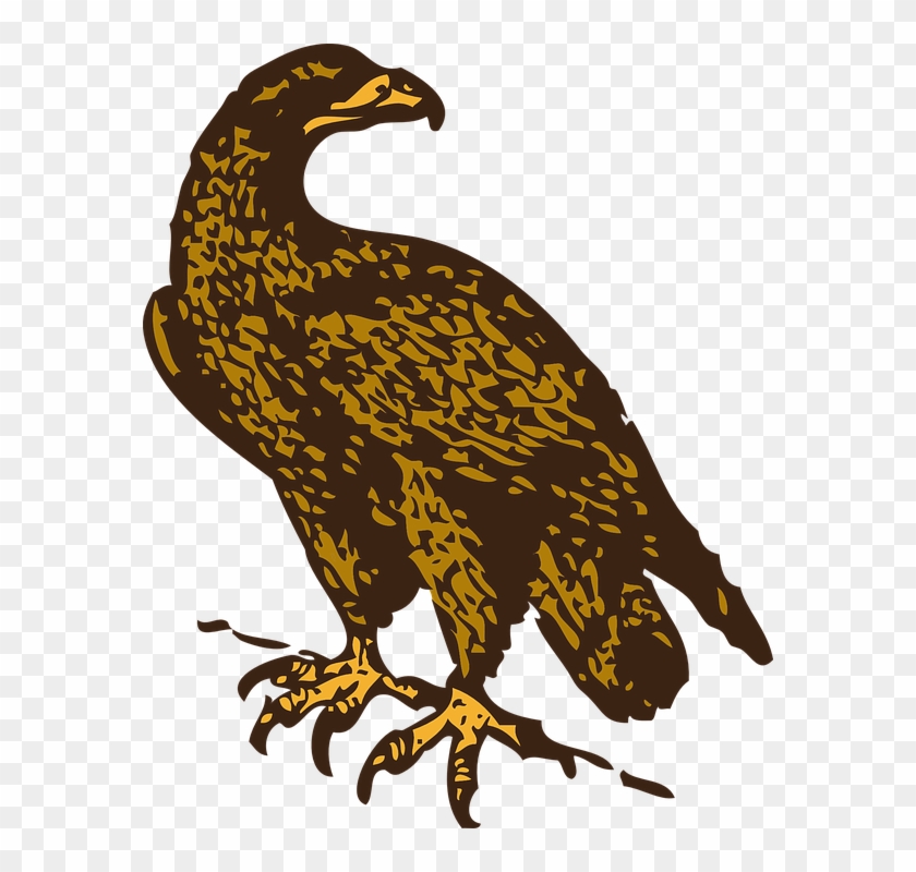 Collection Of Free Halk - Collection Of Free Halk #1474266