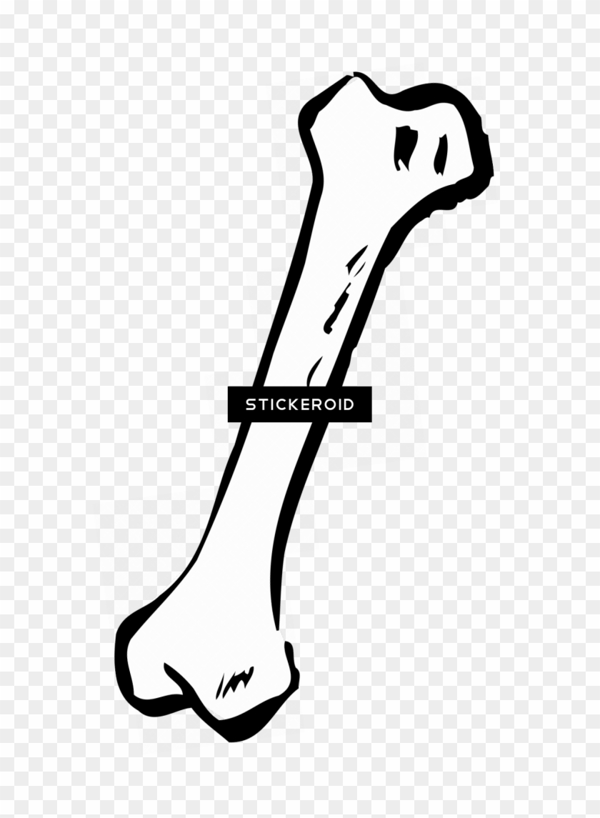 Bone - Human Bone Clip Art #1474298