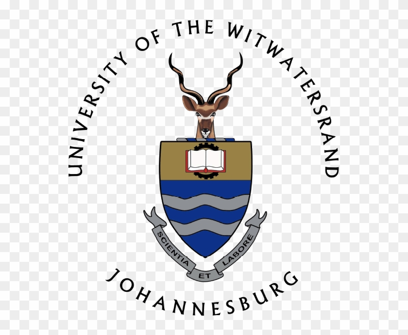 University Of Massachusetts Boston - University Of Witwatersrand Logo #1474353