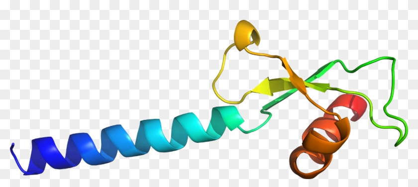 Clip Art Atp Clip Art - Clip Art Atp Clip Art #1474937