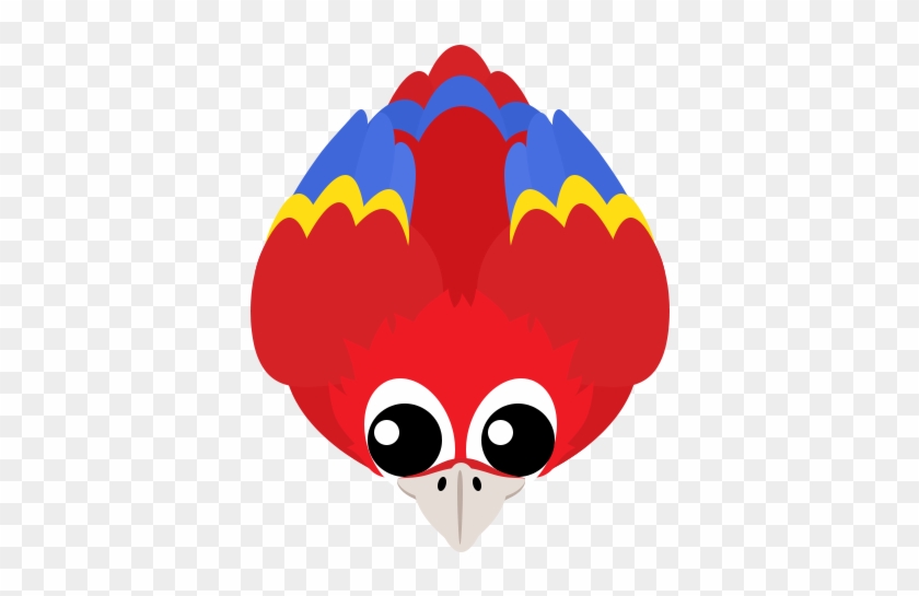 Also, Macaw Flies - Also, Macaw Flies #1474993