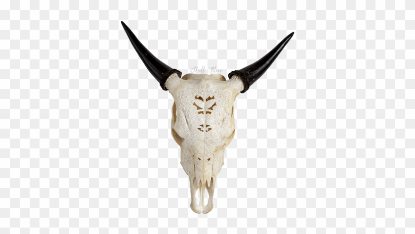 Cow Skulls Page Skull - Cow Skulls Page Skull #1475254