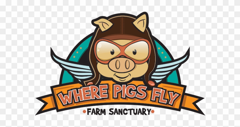 Where Pigs Fly Farm Sanctuary, Hunter Valley - Where Pigs Fly Farm Sanctuary, Hunter Valley #1475295