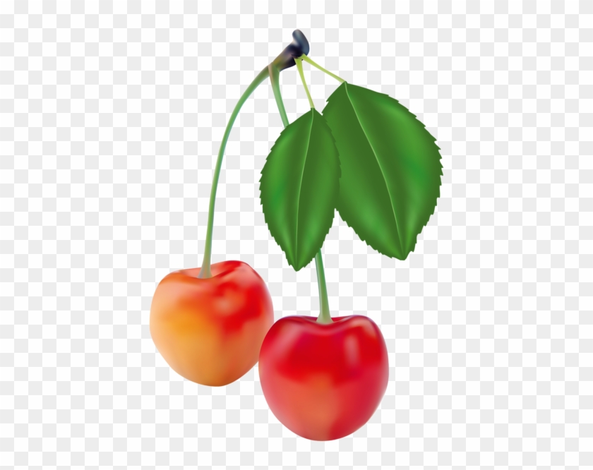 Cherries Clipart Picture - Cherries Clipart Picture #1475555