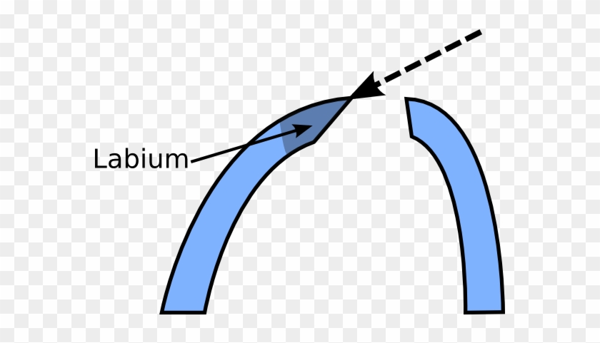 The Dashed Line In The Diagram Below - The Dashed Line In The Diagram Below #1475928