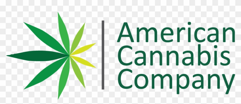 American Cannabis Company - American Cannabis Company #1476038