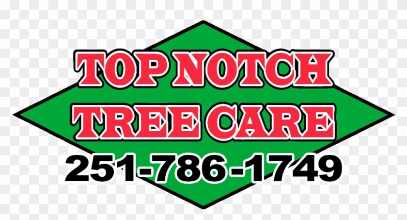Top Notch Tree Care Vector Transparent Library - Top Notch Tree Care Vector Transparent Library #1476372