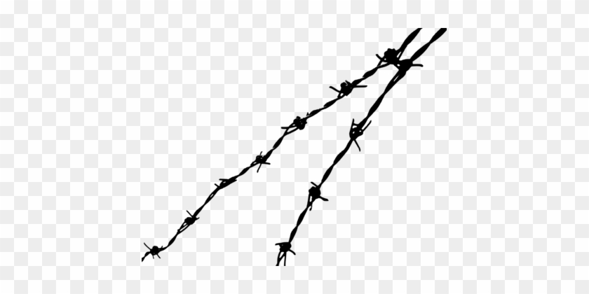 Barbed Wire Fence Concertina Wire Barbed Tape - Barbed Wire Fence Concertina Wire Barbed Tape #1476448