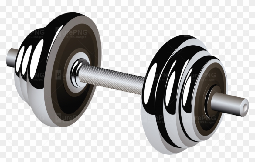 Weight Plates Clipart Transparent Background - Weight Plates Clipart Transparent Background #1477154