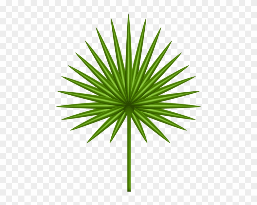 Free Png Download Exotic Leaf Transparent Clipart Png - Free Png Download Exotic Leaf Transparent Clipart Png #1477175