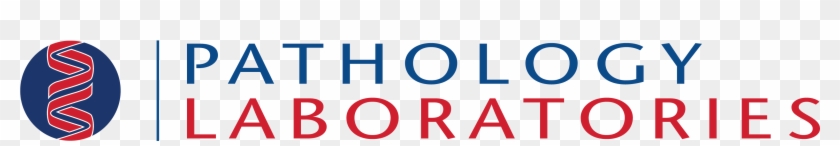 Established In Toledo, Ohio In 1946, Pathology Laboratories, - Established In Toledo, Ohio In 1946, Pathology Laboratories, #1477503