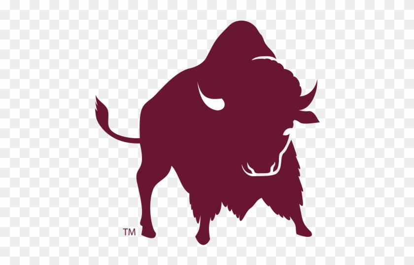 Lady Buffs Stall Against Greyhounds - Lady Buffs Stall Against Greyhounds #1477536