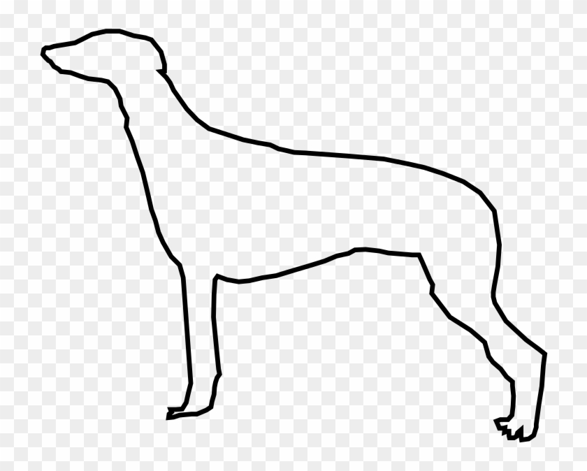 Greyhound Svg - Greyhound Svg #1477544