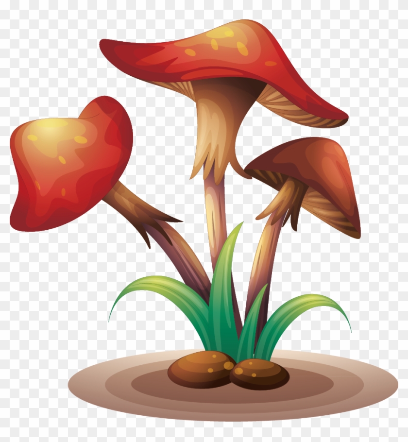 Fungus Clip Art Transprent - Fungus Clip Art Transprent #1477547