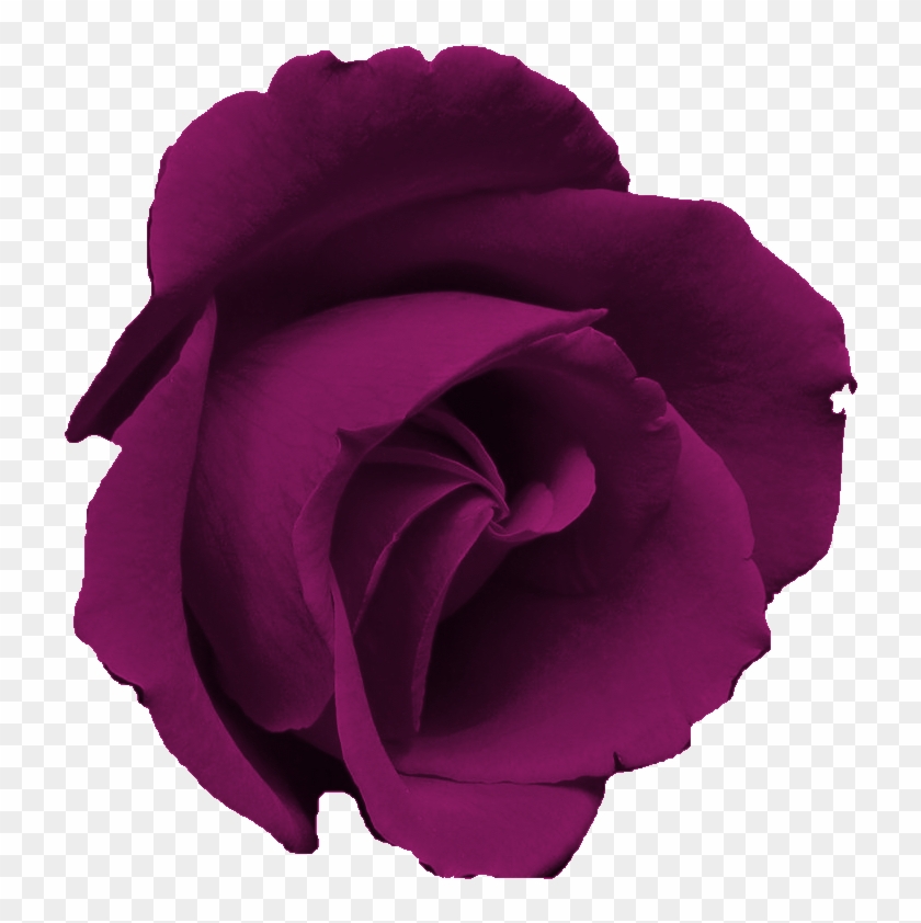 Free Flower Clip Art Images - Free Flower Clip Art Images #1477818