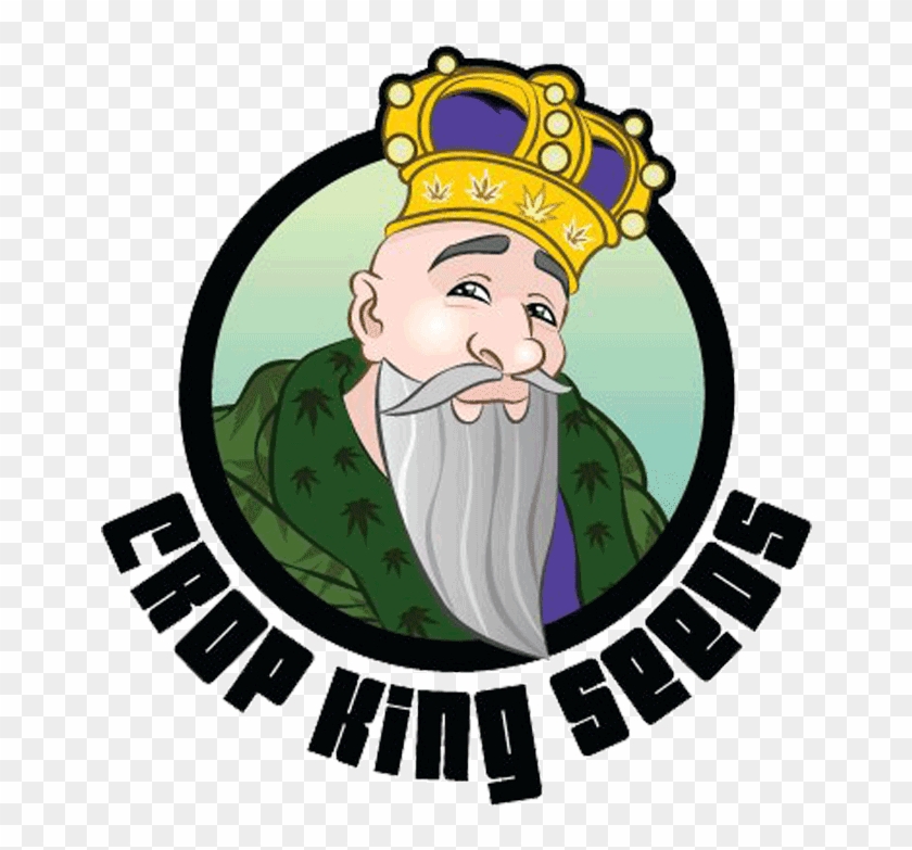 Media Sponsors - Media Sponsors #1478018