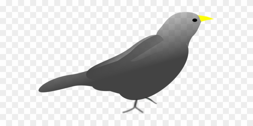 Beak Bird Computer Home Network Call Of Duty - Beak Bird Computer Home Network Call Of Duty #1479019