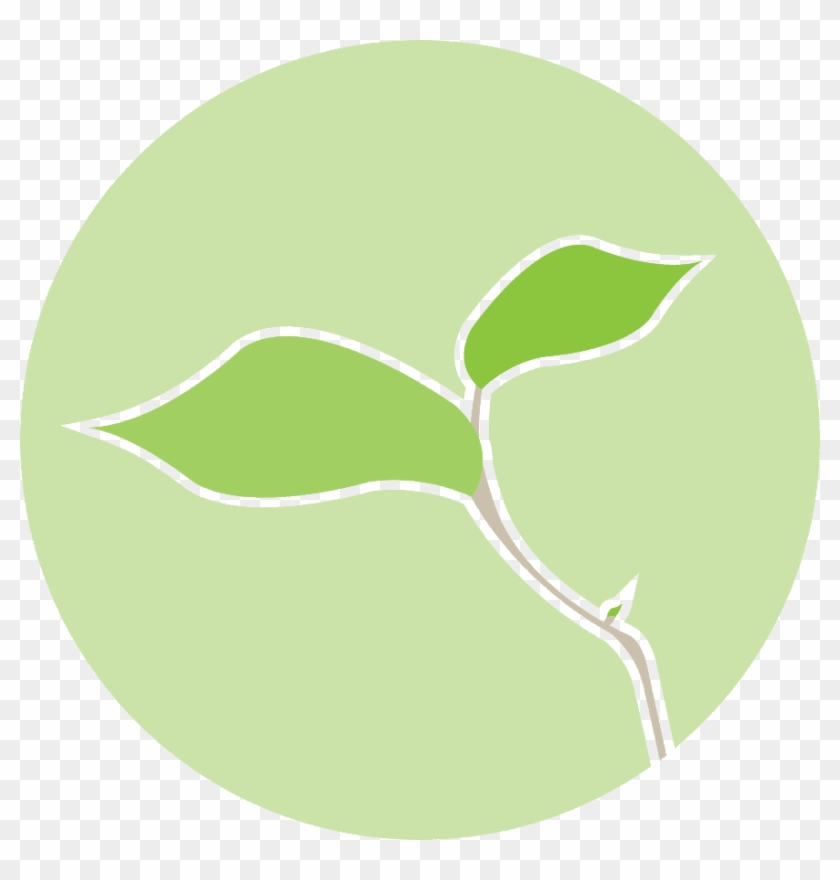 Ced 2014 19334 Mandala Final - Ced 2014 19334 Mandala Final #1479378