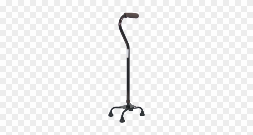Walking Stick Picture Free Clipart Hq - Walking Stick Picture Free Clipart Hq #1479674