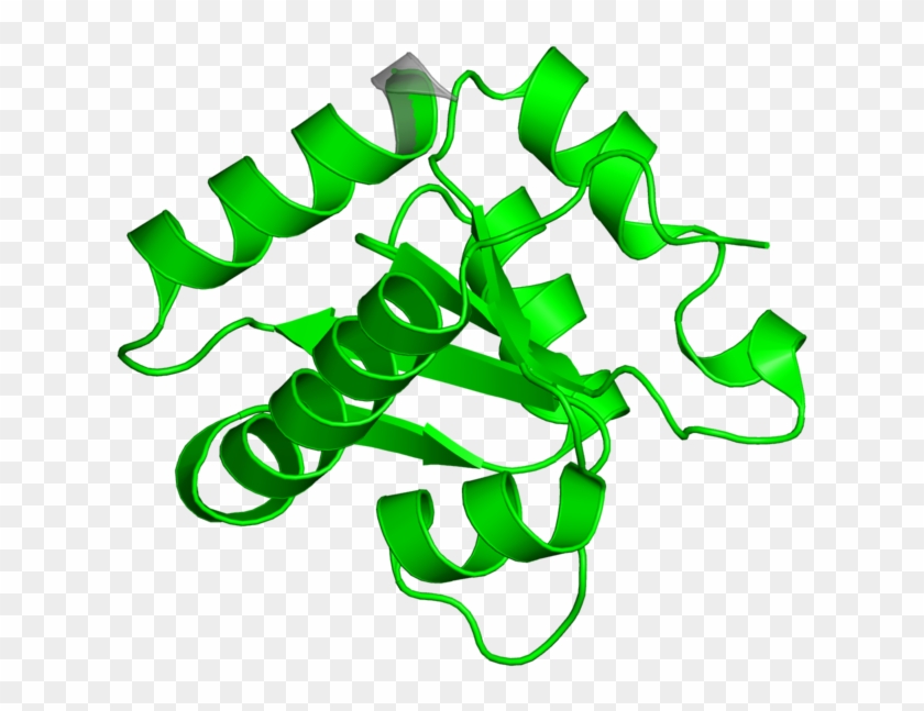 <div Class='caption-body'>1 Copy Of Cath Domain < - <div Class='caption-body'>1 Copy Of Cath Domain < #1479762